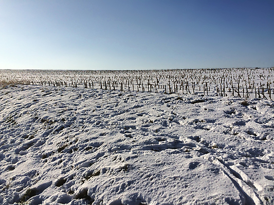 포토 JPG 해외이미지 구름 계절 겨울 자연 하늘 풍경 사람없음 야외 파란색 빛 태양 냉동 추위 그리기 서리 장면 해외포토 자연요소 컬러 모션 생태계 파일형식 이미지허브
