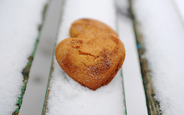 포토 JPG 해외이미지 모양 음식 백그라운드 크리스마스 겨울 휴가 디저트 발렌타인데이 사랑 사람없음 파란색 갈색 쿠키 흰색 하트 달콤 심볼 고립 소셜네트워크 시나몬 스타일 해외포토 계절 기념일 감정 컬러 데이이벤트 맛 파일형식 이미지허브