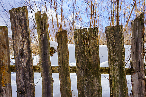 포토 JPG 해외이미지 나무 식물 디자인 선 벽 백그라운드 패턴 표면 날씨 사람없음 야외 목재 장식 가로 세로 울타리 정원 어둠 줄무늬 시골 못 판넬 거친 균열 널 가난 버리기 폐허 질감 다리찢기 내추럴 수목 옛날 해외포토 컨셉 무늬 재료 모션 담장 공구 파일형식 이미지허브