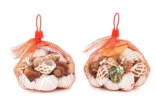 포토 JPG 해외이미지 밧줄 음식 바다 백그라운드 패턴 자연 조개 항해 어류 사람없음 장식 빨간색 컬러풀 웹 껍질 흰색 시골 잡기 그물 수집 질감 고립 해외포토 줄 컬러 무늬 인터넷 배_교통 모션 어패류 수중동물 생태계 파일형식 이미지허브