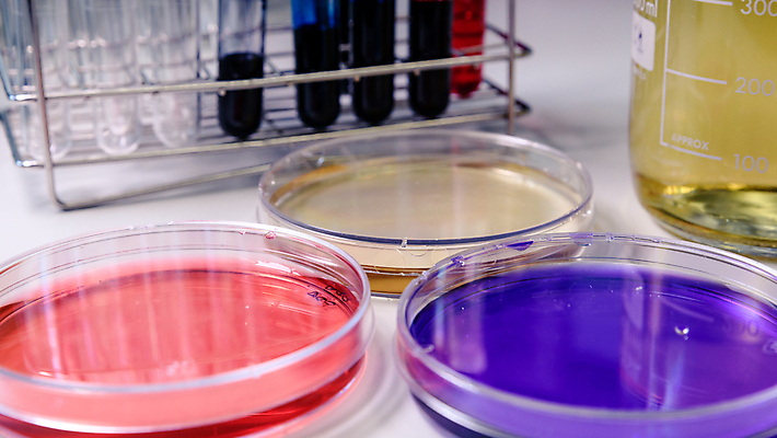 포토 JPG 해외이미지 그릇 과학 컨셉 건강 병원 실험 사람없음 치료 스터디 약 우주 장비 액체 실험실 바이러스 질병 생명공학 플라스크 분석 생물학 감염 미생물 튜브 조제 혁명 개발 돌봄 피펫 화학물질 살균 해외포토 식기 교육 의학 모션 생물 실험기구 학습 화학 만들기 파일형식 이미지허브