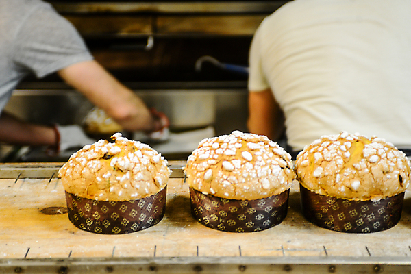 포토 JPG 해외이미지 전통 계절 문화 음식 빵 크리스마스 겨울 휴가 디저트 요리 사람없음 장식 케이크 주방 축제 어둠 이탈리아 빵집 껍질 흰색 축하 신선 이탈리아음식 오븐 달콤 맛 12월 가루 굽기 반죽 L 건포도 밀라노 페스츄리 해외포토 알파벳 기념일 유럽 컬러 컨셉 포도 서양음식 상점 가전제품 날짜 구이 건과일 파일형식 이미지허브