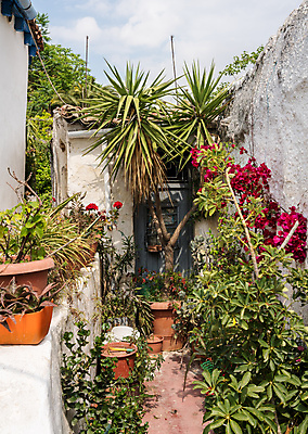 포토 JPG 해외이미지 식물 전통 유럽 여행 건축양식 지붕 휴가 거리 주택 사람없음 야외 건물 빨간색 도시풍경 컬러풀 정원 바위 도시 역사 타일 그리스 언덕 좁은 아테네 타운 이웃 단계 그리스인 구시가지 옛날 해외포토 서양인 건축물 건축 나라 컬러 풍경 돌_바위 파일형식 이미지허브