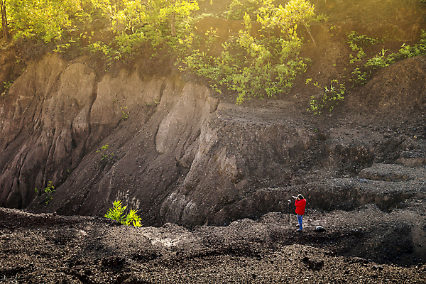 포토 JPG 해외이미지 나무 직업 라이프스타일 여자 남자 실루엣 야생동물 여행 잎 밭 자연 하늘 미술 사람 풍경 성인 취미 사람없음 가로 초록색 파란색 컬러풀 여행객 카메라 디지털 사진촬영 일몰 안개 시골 업무 작업 기자 사진사 그림 예술가 삼각대 프리랜서 해외포토 식물 동물 컬러 농업 날씨 문화예술 촬영기법 생활 전자제품 노을 촬영 작가 생태계 파일형식 이미지허브