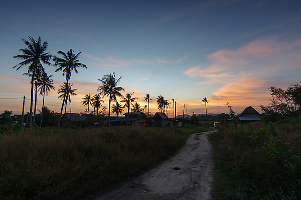 포토 JPG 해외이미지 나무 전통 밭 농업 건축양식 하늘 주택 사람없음 목재 마을 말레이시아 해외포토 식물 건축 산업 아시아 재료 건물 파일형식 이미지허브