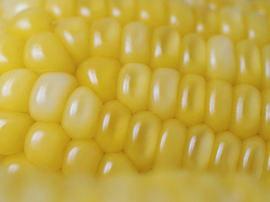 포토 JPG 해외이미지 식물 음식 백그라운드 농업 채소 과일 재료 자연 건강 옥수수 씨앗 사람없음 농작물 쌓기 젖음 수확 껍질 신선 오픈 그룹 달콤 맛 낟알 시리얼 유기농 질감 알맹이 날것 귀 흙더미 내추럴 바이오 생식 숙성 해외포토 웰빙 산업 컨셉 모션 곡류 신체부위 흙 생태계 파일형식 더미 이미지허브