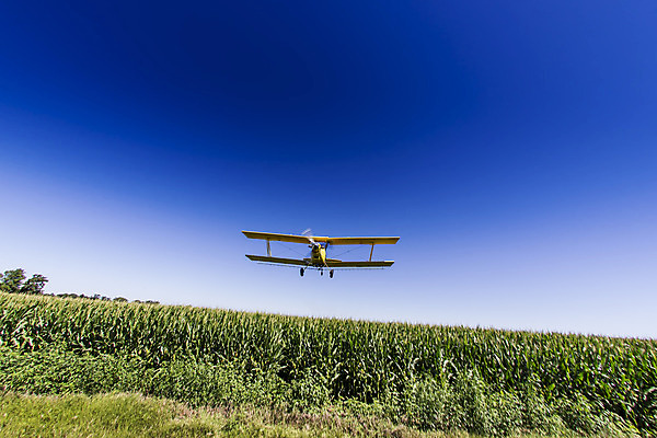 포토 JPG 해외이미지 직업 밭 농업 하늘 비행기 안테나 옥수수 사람없음 초록색 농작물 농장 농경지 노란색 환경 기계 시골 업무 어플리케이션 위험 파일럿 먼지떨이 항공 프로펠러 스프레이 분무기 거름 넘어짐 농약 대패 밭일 생태학 화학물질 화학약품 해외포토 교육 산업 컬러 컨셉 통신 항공교통 모션 대중교통 곡류 작업 화학 청소도구 물질 파일형식 이미지허브