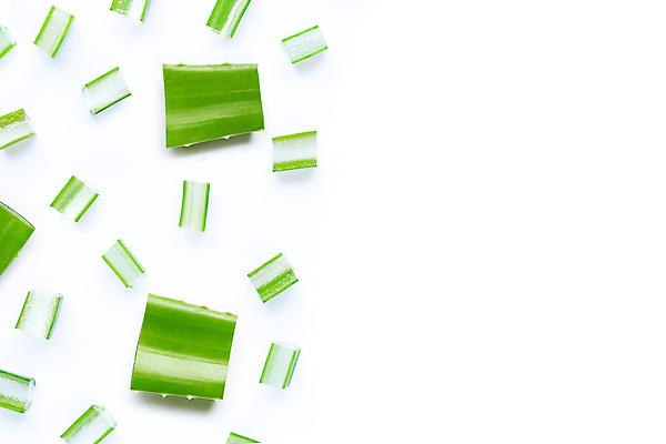 포토 JPG 해외이미지 스튜디오촬영 단면 실내 사람없음 흰배경 알로에 해외포토 식물 백그라운드 내부 흰색 파일형식 이미지허브