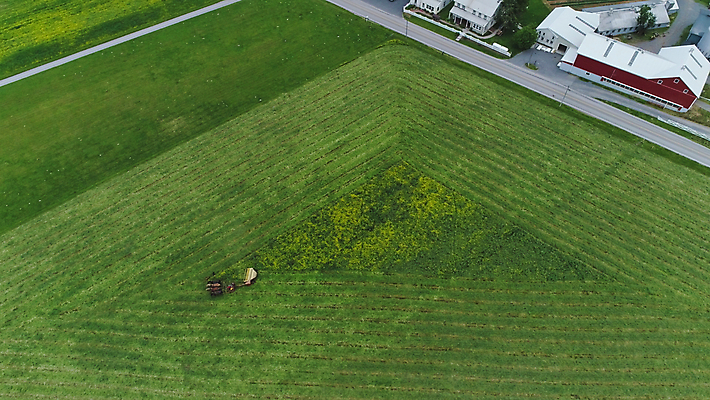 포토 JPG 해외이미지 유럽 선 스포츠 백그라운드 밭 일러스트 공 자연 놀이 털 안테나 풍경 경기 잔디 사람없음 야외 컵 초록색 농장 3D 축구 경쟁 경기장 게임 흰색 시골 깃발 센터 모서리 정상 놀이터 땅 모피 오브젝트 만들기 고립 골 땅바닥 밭일 해외포토 식물 식기 나라 컬러 컨셉 농업 통신 스포츠시설 모션 바닥 구기 디지털합성 생태계 파일형식 이미지허브