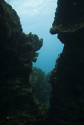 포토 JPG 해외이미지 바다 여행 백그라운드 자연 휴가 사람없음 물 파란색 빛 태양 골짜기 검은색 수중 동굴 잠수부 아래 다이빙 장면 암초 내추럴 깊이 해외포토 자연요소 컬러 수영 전문직 방향 생태계 위치 수중스포츠 파일형식 이미지허브
