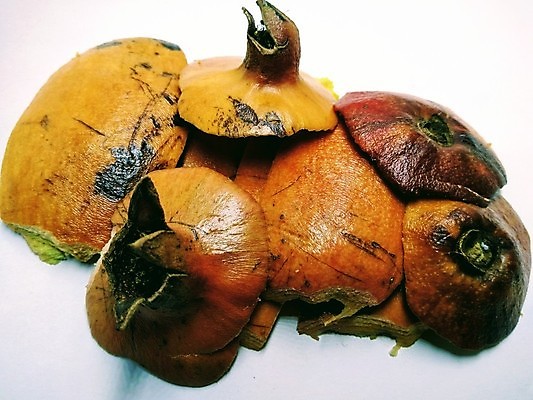 포토 JPG 해외이미지 식물 음식 조각 백그라운드 잎 농업 다이어트 과일 재료 부분 자연 디저트 건강 씨앗 사람없음 빨간색 초록색 여름 컬러풀 주스 흰색 신선 그룹 달콤 맛 자르기 흰배경 유기농 날것 석류 내추럴 가넷 고립 숙성 이국적 채식주의자 해외포토 웰빙 계절 산업 음료 컬러 컨셉 모션 보석 생태계 채식 파일형식 이미지허브