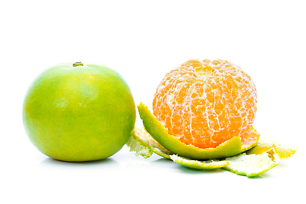 포토 JPG 해외이미지 배너 음식 조각 백그라운드 다이어트 오렌지 과일 재료 부분 자연 귤 건강 사람없음 초록색 세트 노란색 주스 흰색 신선 원형 그룹 닫기 달콤 아침식사 혼합 자르기 수집 유기농 날것 라임 내추럴 숙성 채식주의자 해외포토 도형 웰빙 음료 컬러 모션 식사 맛 생태계 채식 파일형식 이미지허브