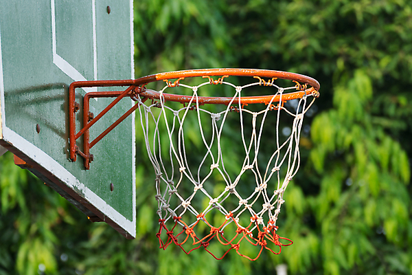 포토 JPG 해외이미지 주간 나무 농구 사람없음 야외 아웃포커스 농구대 해외포토 자연요소 식물 촬영기법 구기 골대 파일형식 이미지허브