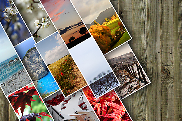 포토 JPG 해외이미지 나무 계절 꽃 여행 백그라운드 컨셉 잎 겨울 자연 하늘 날씨 추상 풍경 사람없음 야외 빨간색 세로 초록색 물 여름 파란색 노란색 환경 정원 봄 추위 안개 가을 나뭇가지 4 수집 연도 합성 모음 해외포토 자연요소 식물 컬러 무늬 한글 숫자 생태계 파일형식 이미지허브