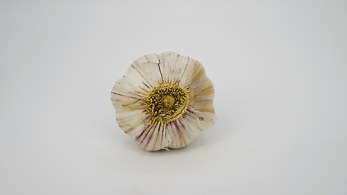 포토 JPG 해외이미지 식물 음식 백그라운드 농업 채소 재료 전구 부분 자연 건강 마늘 요리 사람없음 초록색 머리 식사 수확 껍질 흰색 신선 양념 조미료 그룹 시장 맛 먹기 허브 향신료 오브젝트 유기농 매움 날것 냄새 뿌리 향 후추 내추럴 고립 숙성 채식주의자 비건 해외포토 웰빙 산업 컬러 컨셉 모션 신체부위 생태계 채식 향미료 파일형식 이미지허브