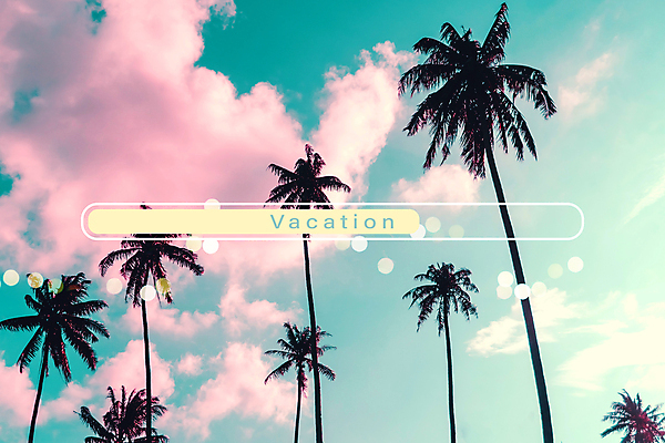 포토 JPG 해외이미지 주간 구름 하늘 타이포그라피 사람없음 야외 여름 여름휴가 바캉스 야자수 빛망울 해외포토 자연요소 나무 문자 계절 휴가 빛 파일형식 여름_계절 이미지허브