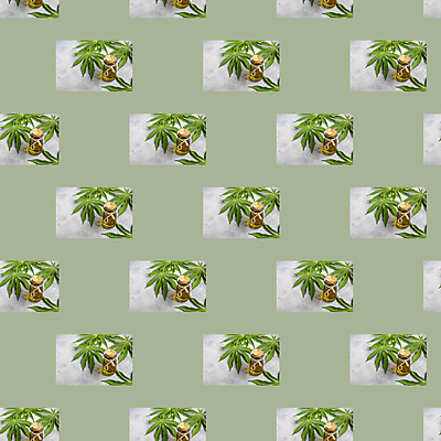 포토 JPG 해외이미지 디자인 꽃 음식 조각 돈 패턴 채소 오렌지 벽지 추상 휴가 건강 마늘 사탕 선물 미술 사람없음 장식 초록색 빛 상자 노란색 쌓기 달러 보라색 신선 원형 체리 삼 인쇄 자르기 레몬 아로마 대각선 내추럴 똑같은 리듬 살구 채식주의자 해외포토 도형 식물 선 컬러 무늬 과일 모션 문화예술 디저트 재산 채식 파일형식 이미지허브