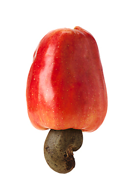 포토 JPG 해외이미지 음식 잎 농업 채소 과일 자연 건강 요리 씨앗 사람없음 야외 빨간색 세로 약 농장 쌓기 사진촬영 미국 견과류 수확 신선 그룹 시장 사과 농부 다발 브라질 남쪽 내추럴 밭일 숙성 캐슈넛 브라질사람 해외포토 식물 직업 산업 컬러 북아메리카 의학 모션 촬영 남아메리카 방향 생태계 파일형식 이미지허브