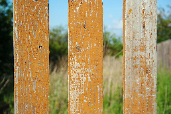 포토 JPG 해외이미지 나무 디자인 벽 백그라운드 패턴 오렌지 건축양식 자연 벽지 표면 날씨 추상 바닥 주택 프레임 사람없음 야외 건물 목재 빨간색 울타리 컬러풀 페인트 수확 흰색 판넬 거친 널 묘사 질감 복고 목공예 내추럴 그런지 수목 옛날 해외포토 식물 건축물 건축 컬러 무늬 농업 과일 재료 담장 공예 생태계 파일형식 이미지허브