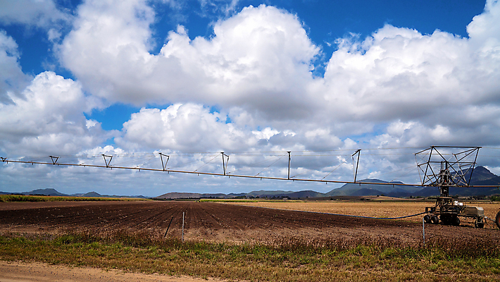 포토 JPG 해외이미지 계절 산업 도로 선 밭 농업 자연 지팡이 하늘 풍경 사람없음 물 농작물 농장 환경 힘 장비 젖음 수확 성장 시골 호주 농부 설탕 뿌리기 시스템 가뭄 봉 트랙터 길가 방목장 심기 사탕수수 해외포토 자연요소 식물 직업 길 교통시설 모션 날씨 오세아니아 농기계 생태계 특수차량 파일형식 이미지허브
