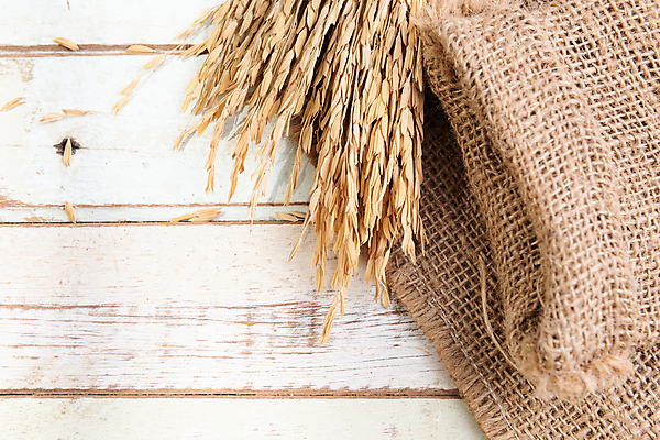 포토 JPG 해외이미지 식물 음식 꽃다발 백그라운드 농업 재료 태국 자연 밥 건조 건강 씨앗 사람없음 목재 농작물 갈색 노란색 수확 흰색 황금 플랫 정상 낟알 시리얼 밀 다발 유기농 질감 날것 브런치 귀 흙더미 내추럴 논밭 숙성 채식주의자 해외포토 나무 웰빙 꽃 산업 아시아 컬러 밭 곡류 논 신체부위 식사 흙 생태계 채식 파일형식 더미 이미지허브