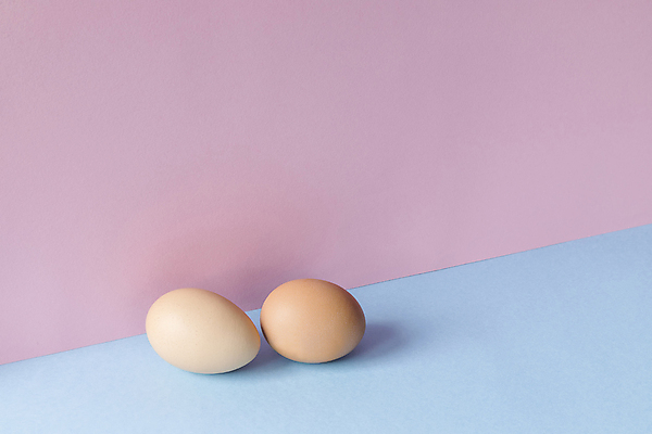 포토 JPG 해외이미지 디자인 커플 음식 분홍색 백그라운드 2 다이어트 과일 벽지 추상 건강 미술 사람없음 장식 여름 파란색 빛 컬러풀 햇빛 갈색 우주 계란 신선 플랫 달콤 맛 매끈함 유기농 부드러움 내추럴 고립 단백질 채식주의자 파스텔톤 스타일 미니멀리스트 해외포토 웰빙 계절 컬러 컨셉 무늬 관계 문화예술 태양 알 감각 채식 영양소 파일형식 이미지허브