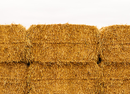 포토 JPG 해외이미지 식물 계절 음식 농업 자연 하늘 건조 사람없음 야외 농작물 농장 갈색 쌓기 수확 가을 흰색 시골 황금 건초더미 볏짚 먹이 낟알 자르기 시리얼 밀 묘사 유기농 정사각형 패키지 뭉치 직사각형 밀짚 흐림 흙더미 내추럴 밭일 해외포토 도형 웰빙 산업 컬러 모션 날씨 곡류 흙 건초 짚 생태계 파일형식 더미 이미지허브