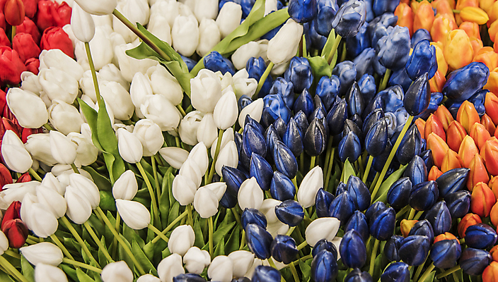 포토 JPG 해외이미지 나무 식물 전통 계절 꽃잎 꽃 분홍색 조각 여행 백그라운드 잎 꽃무늬 과일 비즈니스 자연 거리 사람없음 장식 빨간색 초록색 컬러풀 조각상 노란색 탑 상점 정원 보라색 봄 벚꽃 신선 도시 사찰 난초 시장 유기농 내추럴 옛날 해외포토 건축물 웰빙 컬러 무늬 종교건축 조형물 생태계 파일형식 이미지허브