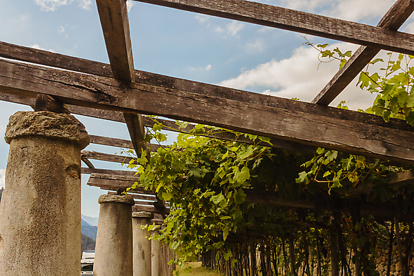 포토 JPG 해외이미지 구름 음료 잎 농업 건축양식 하늘 포도 사람없음 초록색 와인 검은색 이탈리아 바위 라임 산기슭 지원 해외포토 자연요소 식물 건축 유럽 산업 컬러 과일 산 주류 돌_바위 파일형식 이미지허브