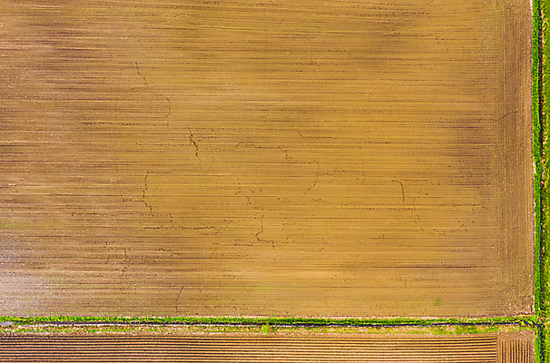 포토 JPG 해외이미지 구름 계절 지구 백그라운드 패턴 밭 농업 자연 하늘 감자 풍경 사람없음 초록색 농작물 농장 농경지 갈색 환경 흙 봄 줄무늬 시골 땅 만취 준비 유기농 질감 먼지 장면 내추럴 땅바닥 밭일 심기 쟁기 직진 세련 해외포토 자연요소 웰빙 산업 컬러 무늬 채소 모션 바닥 생태계 술취함 파일형식 이미지허브