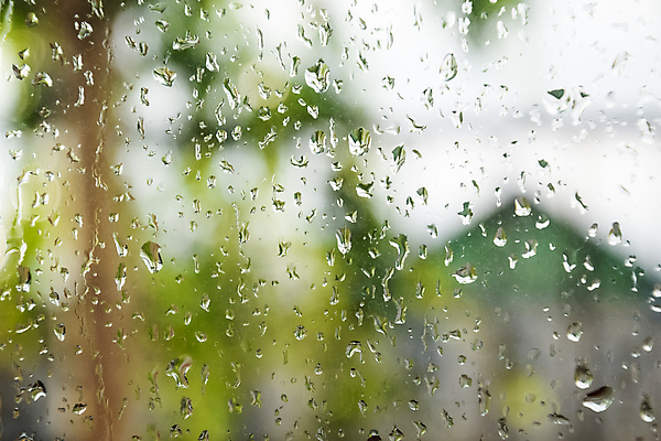 포토 JPG 해외이미지 식물 계절 백그라운드 잎 패턴 창문 자연 유리 표면 날씨 추상 주택 미술 풍경 사람없음 야외 초록색 물 여름 파란색 컬러풀 갈색 봄 젖음 촉촉함 물방울 신선 투명 닫기 떨어짐 숲 빗방울 질감 잠수복 블러 샤워실 판유리 해외포토 자연요소 옷 컬러 컨셉 무늬 모션 재질 문화예술 건물 비_날씨 생태계 샤워시설 파일형식 이미지허브