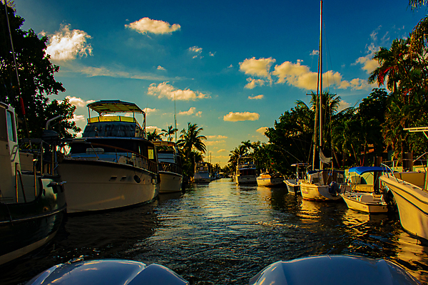 포토 JPG 해외이미지 구름 라이프스타일 길 요트 교통시설 자연 하늘 휴가 휴식 주택 사람없음 건물 초록색 물 파란색 야자수 항구 흰색 어선 재산 고급 주차 함선 수로 운하 콘도 커뮤니티 이웃 남쪽 마이애미 뱃놀이 이국적 전용 채널 플로리다 해외포토 자연요소 나무 건축물 컬러 교통 컨셉 배_교통 숙소 생활 금융 전통놀이 미국 방향 시설 생태계 파일형식 이미지허브