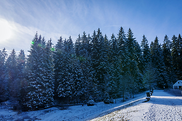 포토 JPG 해외이미지 계절 크리스마스 자연 하늘 아침 날씨 산 풍경 사람없음 초록색 파란색 빛 햇빛 태양 환경 냉동 얼음 추위 흰색 시골 황무지 숲 스위스 언덕 서리 침엽수 겨울풍경 해외포토 주간 자연요소 나무 기념일 유럽 컬러 겨울 생태계 파일형식 이미지허브