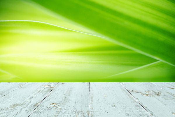 포토 JPG 해외이미지 나무 템플릿 디자인 공원 포스터 백그라운드 잎 자연 탁자 표면 추상 사람없음 야외 목재 장식 초록색 여름 빛 우주 정원 맑음 봄 공백 흰색 시골 신선 널 상품 정상 소프트포커스 갑판 계산대 책상 레이아웃 복고 보케 내추럴 블러 옛날 해외포토 식물 계절 공공시설 컬러 가구 무늬 배_교통 재료 날씨 촬영기법 생태계 파일형식 이미지허브