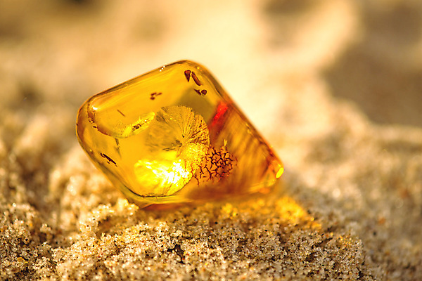 포토 JPG 해외이미지 자연 사람없음 빛 주황색 투명 보석 화석 앰버 해외포토 컬러 광석 생태계 파일형식 이미지허브