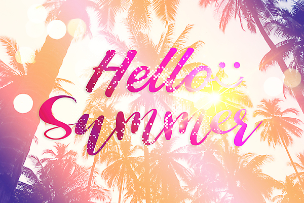 포토 JPG 해외이미지 손글씨 타이포그라피 사람없음 야자수 빛망울 레터링 해외포토 나무 문자 빛 파일형식 이미지허브