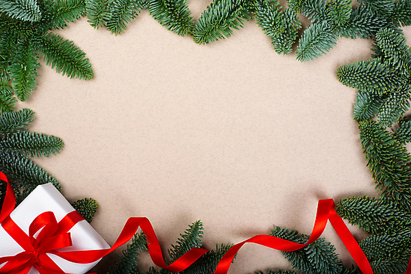 포토 JPG 해외이미지 나무 템플릿 전통 디자인 배너 행복 리본 백그라운드 크리스마스 겨울 휴가 새로움 프레임 선물 사람없음 장식 빨간색 초록색 상자 우주 축제 흰색 나뭇가지 축하 인사 소나무 신용카드 화려 연도 활 복고 초대 전나무 내추럴 목업 가문비나무 카피스페이스 해외포토 식물 계절 기념일 감정 컬러 컨셉 금융 공백 예절 파일형식 이미지허브