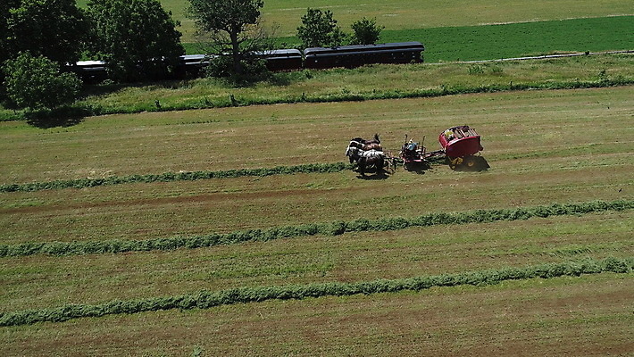 포토 JPG 해외이미지 식물 전통 음식 밭 농업 자연 안테나 사람 풍경 사람없음 야외 초록색 농작물 농장 농경지 흙 수확 가을 시골 업무 당기기 농부 땅 복고 트랙터 드론 밭일 쟁기 조감도 해외포토 직업 계절 산업 컬러 통신 모션 작업 농기계 생태계 특수차량 파일형식 이미지허브