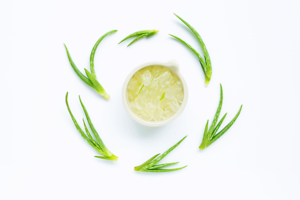 포토 JPG 해외이미지 스튜디오촬영 실내 사람없음 하이앵글 사기그릇 흰배경 알로에 플랫레이 해외포토 식물 그릇 뷰포인트 백그라운드 내부 흰색 플랫 파일형식 이미지허브