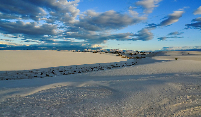 포토 JPG 해외이미지 나무 구름 공원 물결 파도 백그라운드 자연 하늘 건조 파노라마 국립공원 풍경 사람없음 야외 가로 미국 일몰 사막 흰색 황무지 모래언덕 결정체 내추럴 뉴멕시코 랜드마크 잔물결 지질학 해외포토 자연요소 식물 공공시설 교육 바다 컬러 북아메리카 촬영기법 노을 언덕 생태계 파일형식 이미지허브