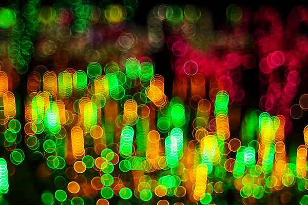 포토 JPG 해외이미지 나무 계절 여행 백그라운드 잎 크리스마스 자연 하늘 추상 휴가 조명 풍경 사람없음 야외 목재 가로 초록색 여름 빛 환경 침묵 놀람 봄 숲 신비 땅 즐거움 보케 공상 마법 블러 웅장함 환상 카피스페이스 해외포토 식물 기념일 감정 컬러 컨셉 무늬 재료 표정 소리 공백 생태계 파일형식 이미지허브