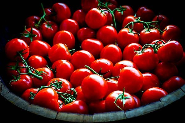 포토 JPG 해외이미지 식물 음식 백그라운드 잎 농업 다이어트 토마토 채소 과일 재료 자연 건강 요리 사람없음 빨간색 초록색 빛 식사 활발 샐러드 성장 흰색 신선 원형 시장 맛 케첩 먹기 오브젝트 싱글 유기농 원예 날것 내추럴 고립 숙성 영양분 채식주의자 해외포토 도형 웰빙 산업 컬러 컨셉 모션 취미 소스_음식 생태계 채식 파일형식 이미지허브