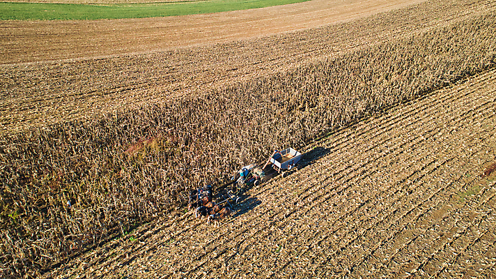 포토 JPG 해외이미지 동물 종교 밭 농업 가족 자연 안테나 옥수수 풍경 소년 사람없음 빨간색 초록색 파란색 농작물 농장 농경지 맑음 장비 수확 가을 시골 업무 작업 당기기 농부 땅 복고 먼지 구식 드론 로딩 밭일 옛날 해외포토 직업 계절 남자 산업 어린이 컬러 통신 관계 모션 날씨 곡류 생태계 파일형식 이미지허브