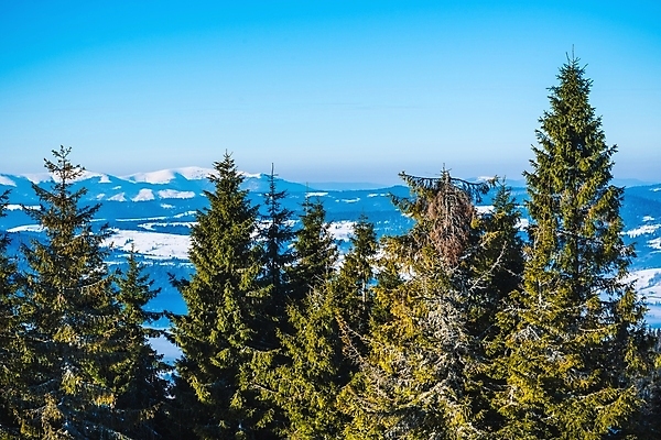 포토 JPG 해외이미지 나무 계절 유럽 여행 겨울 자연 하늘 날씨 휴가 스키 산 파노라마 풍경 경사 사람없음 야외 파란색 환경 냉동 얼음 하이킹 추위 흰색 시골 숲 서리 층 반대 내추럴 산악지대 절정 폭설 눈내림 가문비나무 해외포토 자연요소 식물 나라 컬러 레저 겨울스포츠 눈_날씨 촬영기법 자연재해 생태계 파일형식 이미지허브