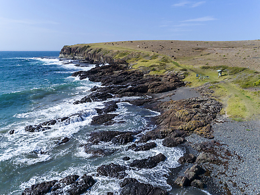 포토 JPG 해외이미지 동물 바다 농업 하늘 휴식 안테나 사람없음 야외 초록색 물 파란색 농장 환경 소 호주 큼 땅 지역 드론 밭일 오지 주입구 수평선 해외포토 자연요소 산업 컬러 컨셉 통신 포유류 오세아니아 크기 파일형식 이미지허브