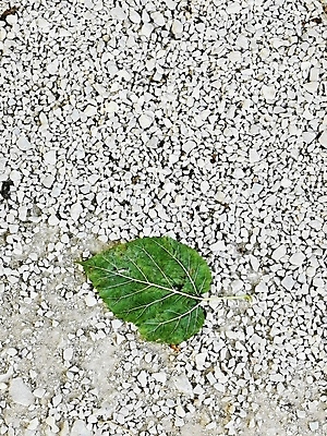 포토 JPG 해외이미지 꽃 음악 음식 백그라운드 잎 패턴 건축양식 추상 미술 사람없음 사무실 로켓 닫기 공항 사과 설탕 질감 모음 짐차 고립 무료 해외포토 식물 건축 무늬 과일 비즈니스 교통시설 모션 자동차 문화예술 한글 파일형식 이미지허브