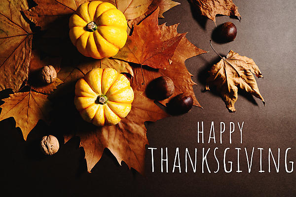 포토 JPG 해외이미지 전통 디자인 계절 행복 음식 백그라운드 잎 농업 채소 오렌지 텍스트 자연 탁자 호박 휴가 전등 사람없음 목재 장식 노란색 파티 축제 견과류 수확 가을 시골 축하 인사 신용카드 메시지 정상 11월 사인 주기 감사 위치 추수감사절 해외포토 나무 식물 감정 산업 기독교 컬러 가구 컨셉 과일 재료 모션 조명 이벤트 금융 예절 날짜 생태계 파일형식 이미지허브