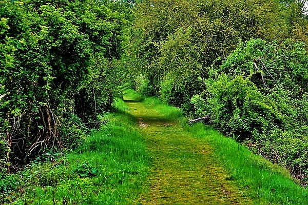 포토 JPG 해외이미지 나무 식물 공원 호수 야생동물 여행 자연 조류 독일 갈대 풍경 사람없음 야외 초록색 물 여름 파란색 우주 환경 검은색 봄 안개 가을 연못 성 고독 보호 습지 손목시계 생태계 서식지 변소 생태학 해외포토 자연요소 동물 건축물 계절 공공시설 교육 감정 유럽 시계 컬러 컨셉 장신구 날씨 파일형식 이미지허브