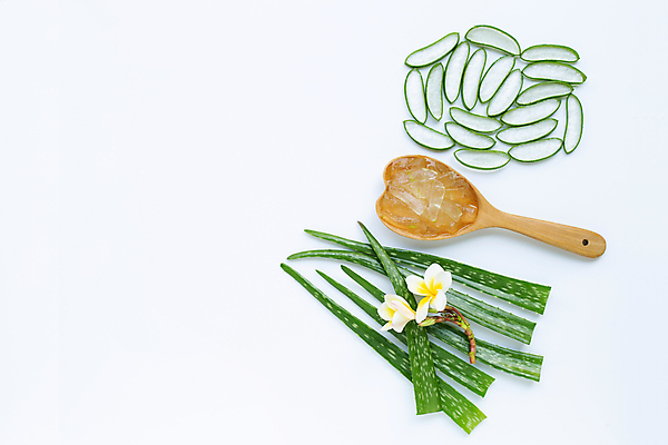 포토 JPG 해외이미지 스튜디오촬영 단면 실내 사람없음 하이앵글 흰배경 나무숟가락 알로에 해외포토 식물 뷰포인트 백그라운드 내부 숟가락 흰색 파일형식 이미지허브