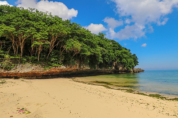 포토 JPG 해외이미지 나무 구름 아시아 모래 파도 바다 섬 여행 백그라운드 자연 조류 하늘 아침 휴가 풍경 사람없음 물 여름 파란색 태양 일출 일몰 서핑 발리 인도네시아 이국적 해외포토 주간 자연요소 식물 동물 계절 나라 컬러 노을 수상스포츠 생태계 파일형식 이미지허브